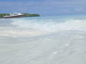 ニューカレドニアへの新婚旅行 ブラシ島にて
