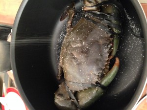 ニューカレドニアで買ったカニさん