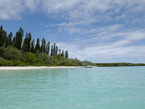 ニューカレドニア イルデパン島沖 ブラシ島にて②