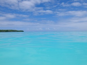 ニューカレドニア イルデパン島沖 ブラシ島にて③